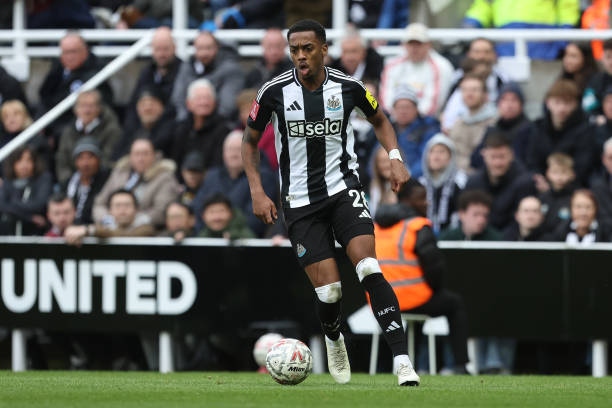 森林狼一直 森林狼一直