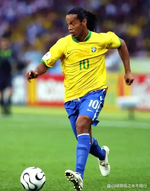 赛适应力也 赛适应力也